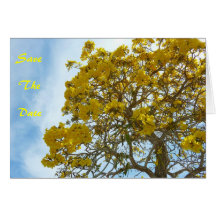 Amarelo grande cartoes