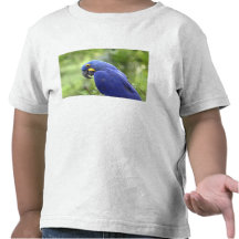 Ámérica do Sul, Brasil, Pantanal. Os 2 pstos em pe Tshirt