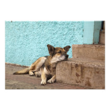 Ámérica do Sul, o Chile, Valparaiso. Alemão Foto Arte
