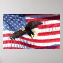 Americano Eagle e poster da bandeira