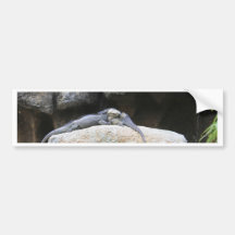 amor da iguana adesivos
