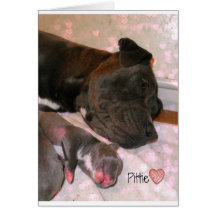 Amor de Pittie Cartões