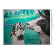 Amor do lama cartão