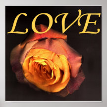 AMOR E IMPRESSÃO DO ROSA