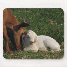 Amor macio - tapete do rato mouse pad