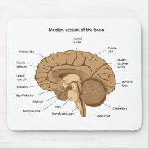 Anatomia Mousepad do cérebro humano