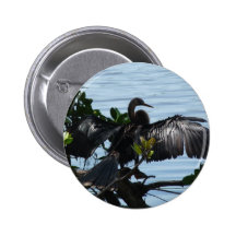Anhinga Boton