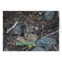 Animais dos mamíferos da fauna de Yolly Bolly Cali Cartao