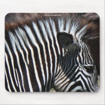 Animais selvagens africanos principais Mousepad do mousepads