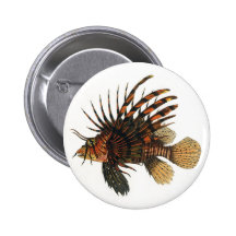 Animal marinho da vida do oceano do vintage, Lionf Botons