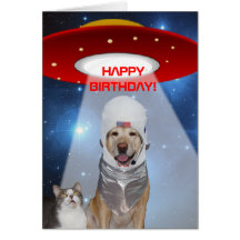 Aniversário engraçado do tema, do cão & do gato do cartões