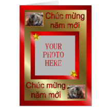 Ano novo vietnamiano do feliz ano novo 2011 do gat cartoes