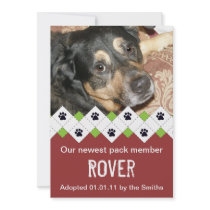 Anúncio da adopção do cão/filhote de cachorro convites