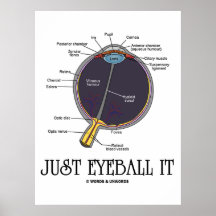 Apenas Eyeball o (dizer da aproximação da anatomia Posteres