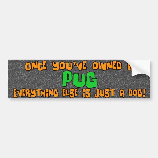 Apenas um autocolante no vidro traseiro do Pug do  Adesivo