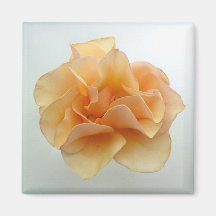 aperfeiçoe cor-de-rosa imã de geladeira