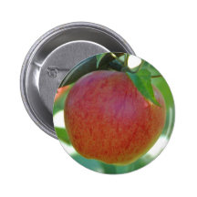 Apple Pederstrup Pins