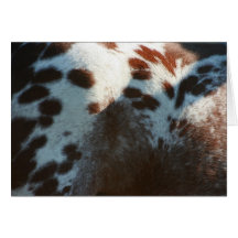 Appyspots Cartão
