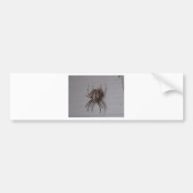 aranha adesivos