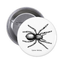 Aranha preta pins