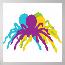 Aranhas assustadores poster