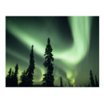 Área dos EUA, Fairbanks, Alaska central, Aurora 2 Cartoes Postais