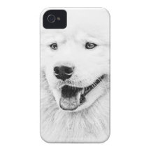 Arte bonita do cão do Samoyed Capas De iPhone 4 Case-Mate