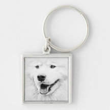 Arte bonita do cão do Samoyed Chaveiros