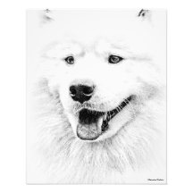 Arte bonita do cão do Samoyed Impressão De Foto