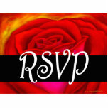 Arte da pintura da rosa vermelha RSVP - multi Escultura Foto