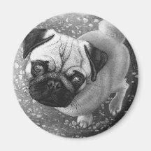 Arte do cão de filhote de cachorro do Pug Imas De Geladeira