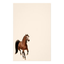 Artigos de papelaria árabes do cavalo da baía
