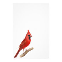 Artigos de papelaria vermelhos cardinais do homem 