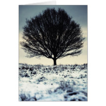Árvore da neve cartões