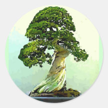 Árvore de Cypress dos bonsais Adesivo Em Formato Redondo