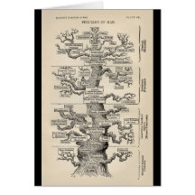 Árvore de Ernst Haeckel a "de vida " Cartao