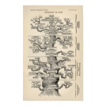Árvore de Ernst Haeckel a "de vida " pôsteres