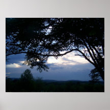 Árvore e céu posteres