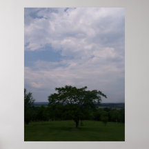 Árvore & nuvens de West Virginia Poster
