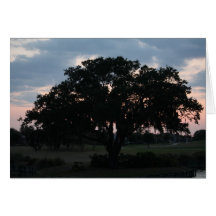 Árvore solitária Notecard Cartão
