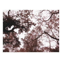 árvores arte de fotos