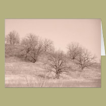 Árvores do inverno cartões