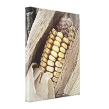 As canvas solitárias da espiga | impressão de canvas envolvida