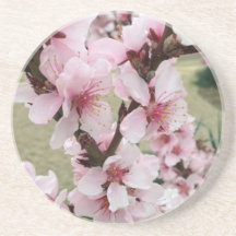 As flores de cerejeira aglomeram o primavera porta copo