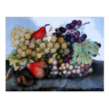 AS FRUTAS 1 DA ESTAÇÃO CARTOES POSTAIS