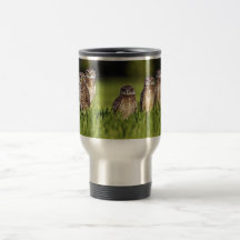 Athene Burrowing Cunicularia de 5 corujas Caneca