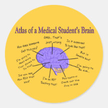 Atlas do cérebro #2 de uma estudante de Medicina Adesivo
