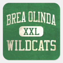 Atletismo dos Wildcats de Brea Olinda Adesivo Quadrado