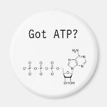 ATP obtido? Imãs