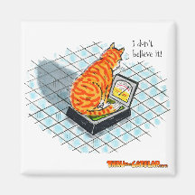 Através do ímã da aleta do gato - "gato em escalas imãs de refrigerador